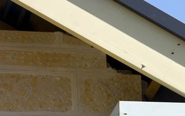 soffit repair Brimley