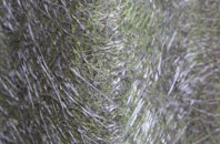 Brimley fibreglass roof work